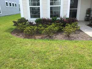 The Project - Before