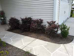 The Project - Before