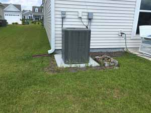 The Project - Before