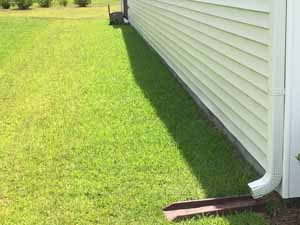 The Project - Before